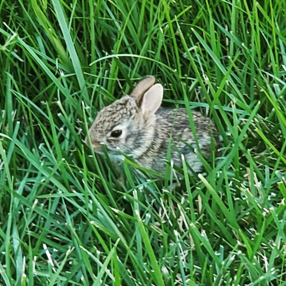 Meet your Posher, Deborah